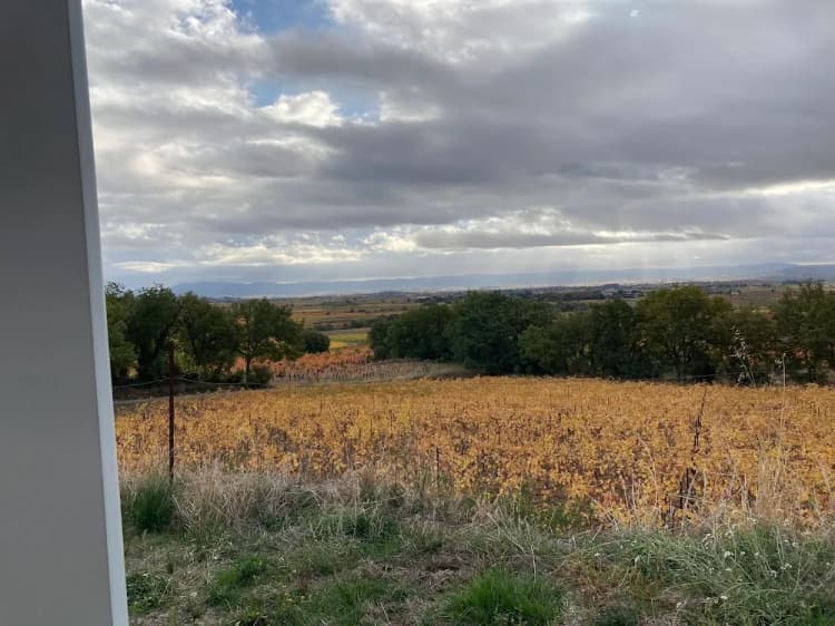 Domaine Virgile Joly